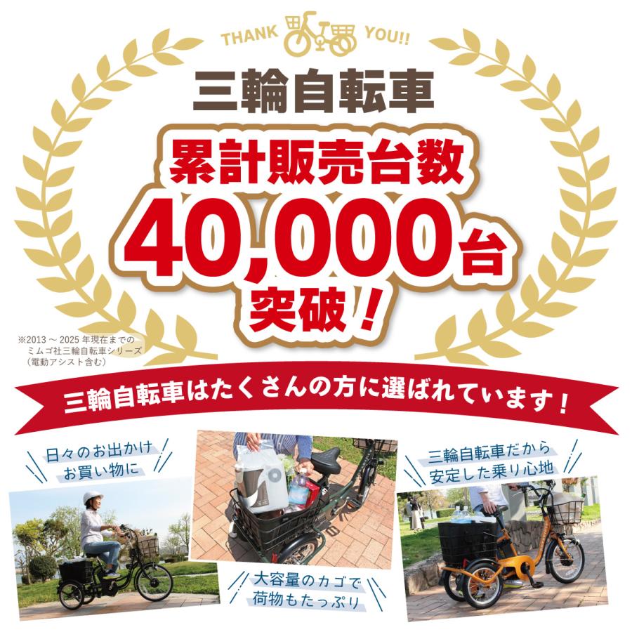 ポタリクル 電動三輪車 大人用 高齢者 3輪自転車 前後カゴ ロータイプ