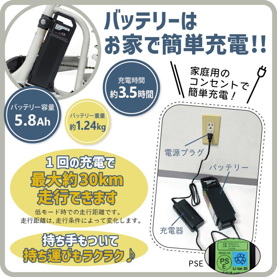 ポタリクル 電動アシスト自転車 3輪 ノーパンクタイヤ 三輪車 大人用