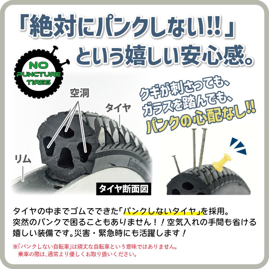 ポタリクル 三輪車 大人用 電動アシスト自転車 3輪 ノーパンクタイヤ