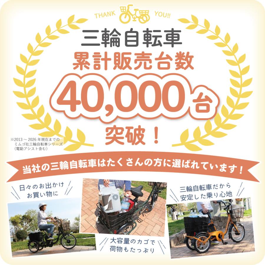 ポタリクル 電動アシスト自転車 20インチ 3輪 ノーパンクタイヤ 三輪車