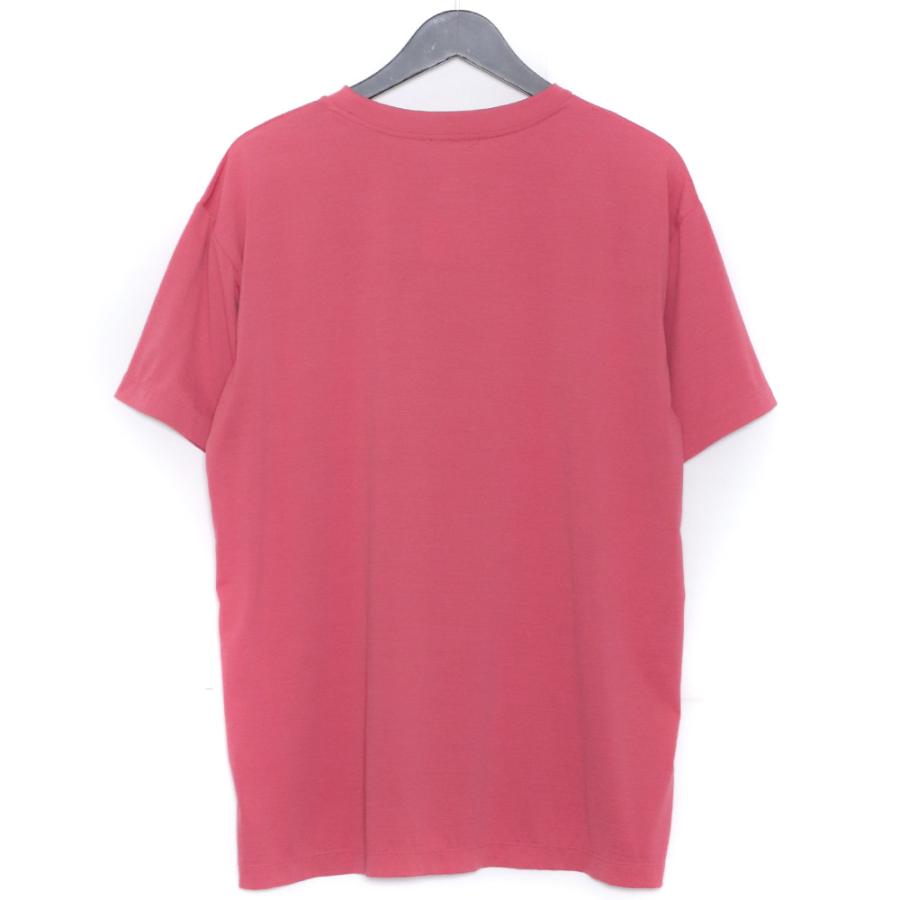 THE NORTH FACE SPLASH WATER TEE Lサイズ ピンク NTW32130 ザノースフェイス スプラッシュウォーターTシャツ 半袖カットソー |  | 01