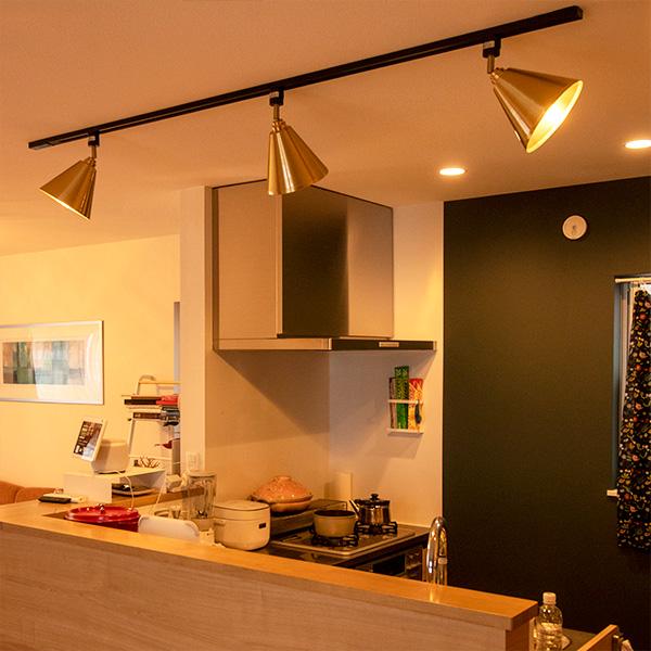 照明 ライト 1灯 シーリングライト ダクトレール用 LIAN リアン