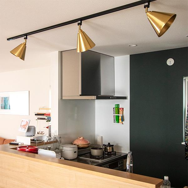 照明 ライト 1灯 シーリングライト ダクトレール用 LIAN リアン