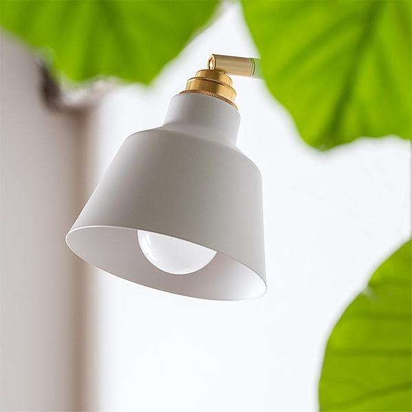 リモコン LED電球 セット 1灯 コーニッシュコラット サイド リモコン LED電球 セット 1灯 コーニッシュコラット サイド