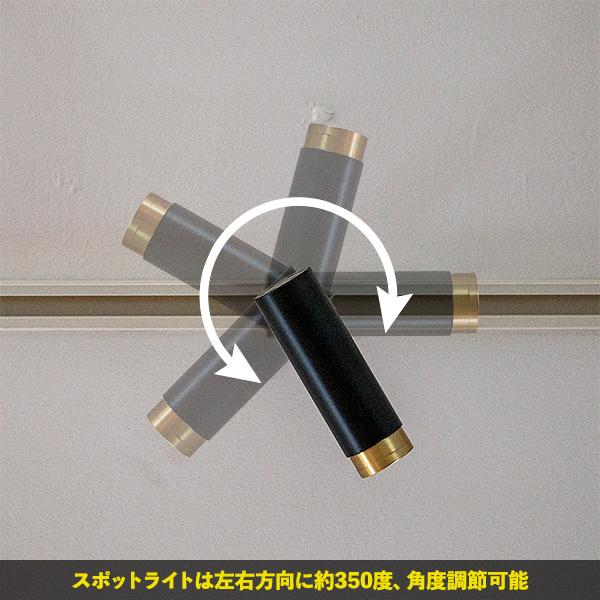 1灯 LEDスポットライト ノーシュ ダウンライト ダクトレール専用 LED
