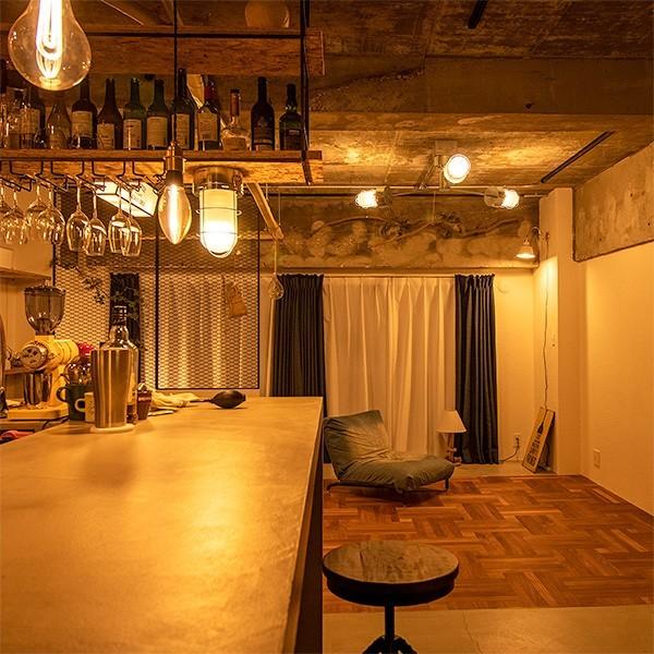 照明 ライト 3灯 シーリングライト SELKIRK セルカーク スポットライト