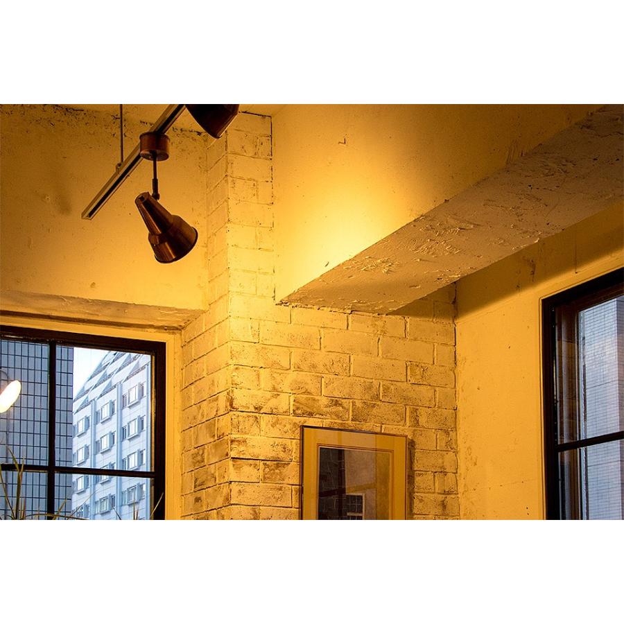 1灯 シーリングライト おしゃれ 照明器具 天井照明 スポットライト