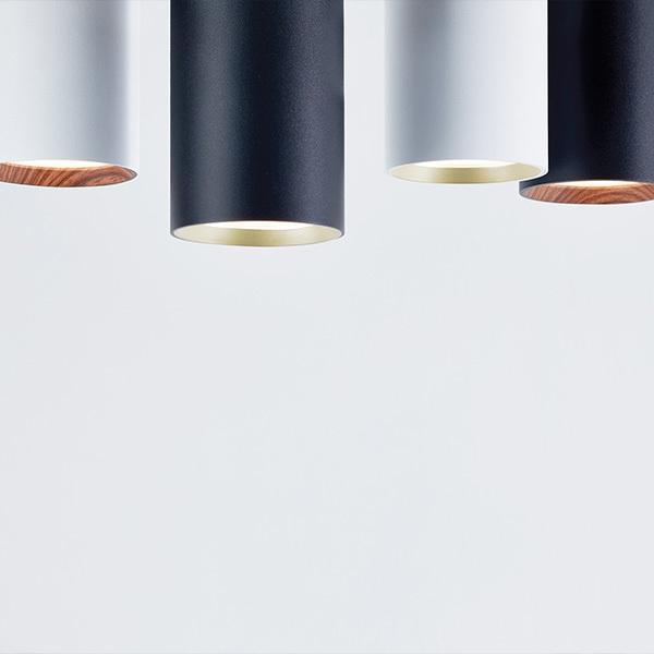 ARTWORKSTUDIO ダウンライト AW-0619E Grid PLUS-pendant LED内蔵 100W