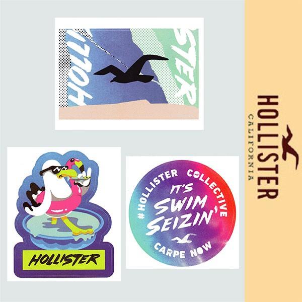 非売品 HOLLISTER STICKER ホリスター ステッカー 3枚セット ロゴ イラスト 新品 正規品 (D0919HSG0001