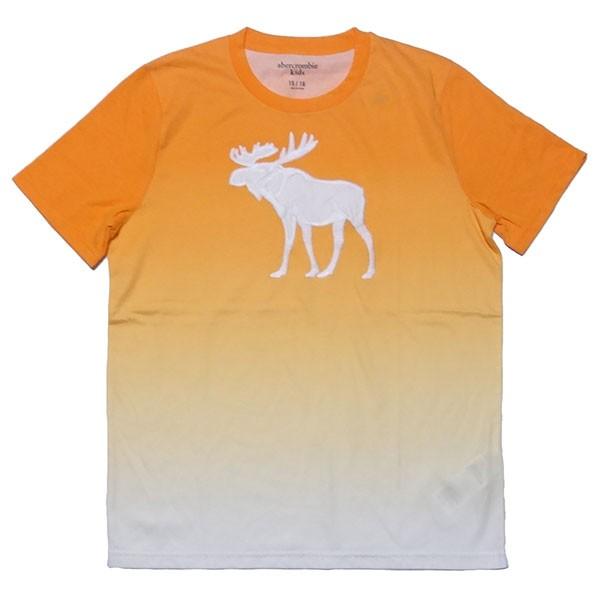 Abercrombie Kids 新品 & Fitch S/S T-SHIRT アバクロンビー