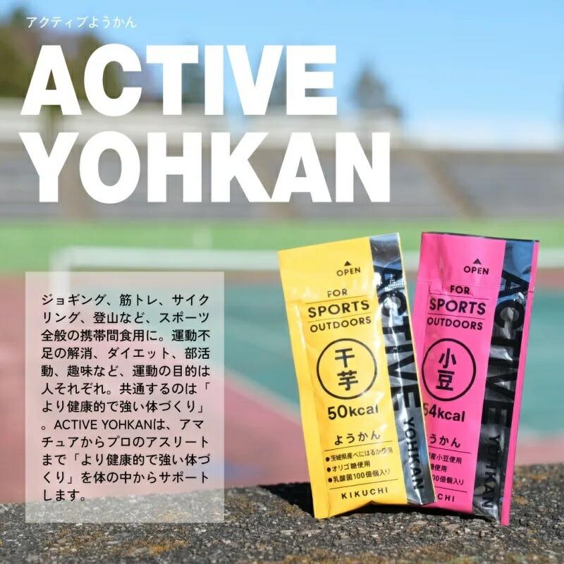 ACTIVE YOHKAN アクティブようかん 小豆 羊羹 ようかん (5個セット