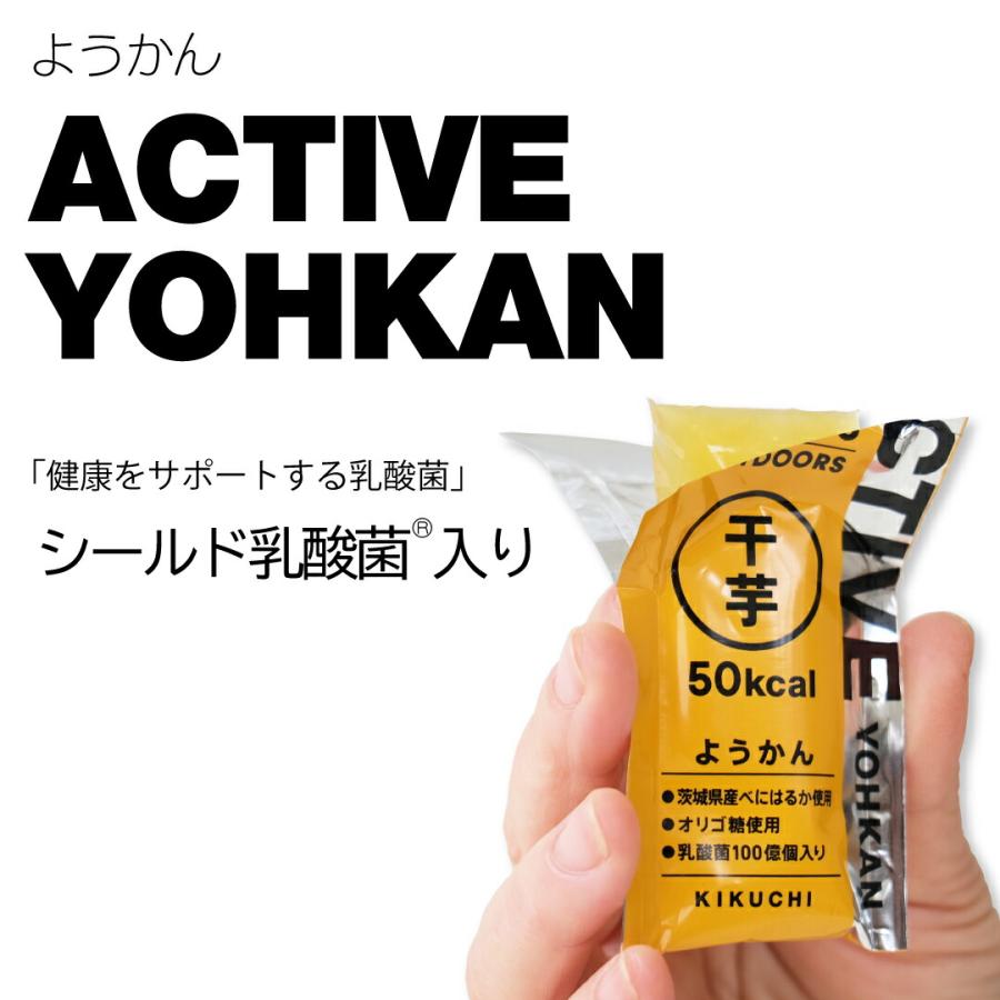 ようかん ACTIVE YOHKAN アクティブようかん 干芋 羊羹 ようかん ミニサイズ