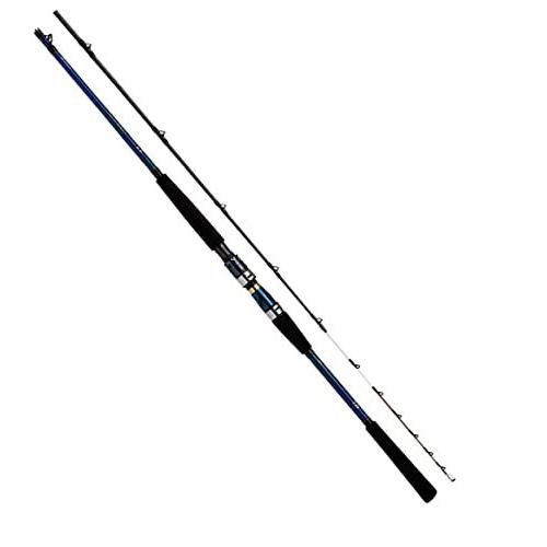 ダイワ(DAIWA) 船竿 極鋭コンセプトゲーム AGS P HH-220AGS 釣り竿