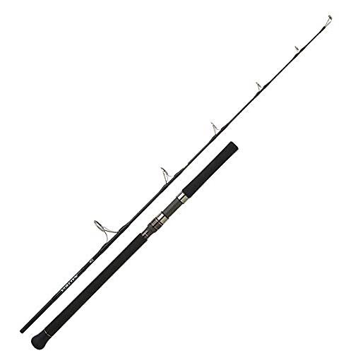ダイワ(DAIWA) ジギングロッド ソルティガAP(エアポータブル) J56S-6 釣り竿(31145円)