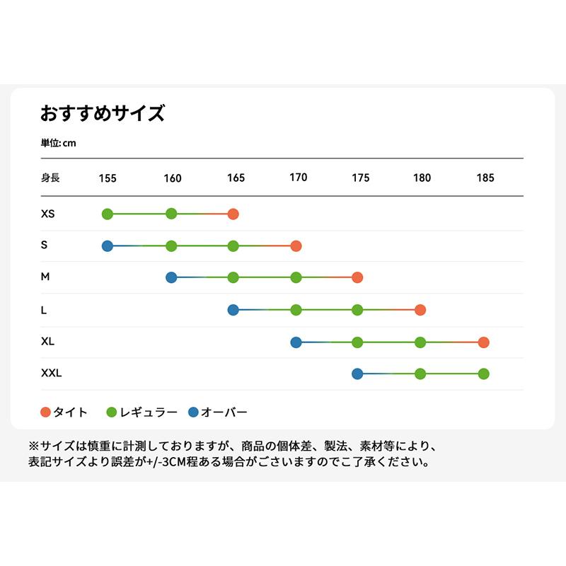 ACTLEIS スノーボードウェア スキーウェア メンズ 上下セット