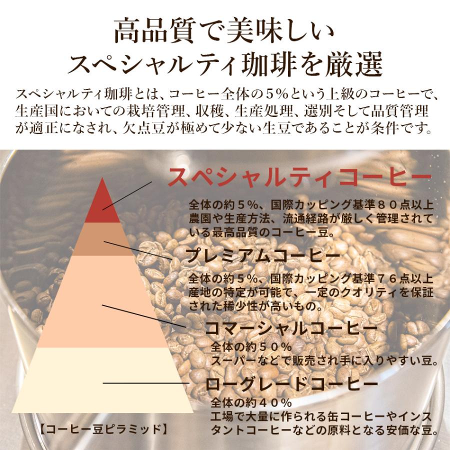コーヒー コーヒー豆 スペシャリティ 珈琲 自家焙煎 珈琲豆 スペシャルティ珈琲専門店 グラン珈琲 インドネシア マンデリン ブルーバタック 150g |  | 03