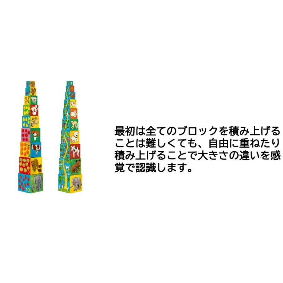 DJECO ジェコ 10マイフレンドブロックス 紙製積み木 キューブ 10個入り