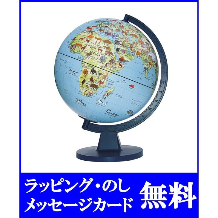 地球儀 ボーネルンド エデュトーイ社 ライトアップ地球儀28cm 教育