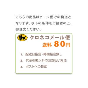 GONESH ガーネッシュ ペーパーエアフレッシュナー（ブラックチェリー）芳香剤｜grandgochi｜02