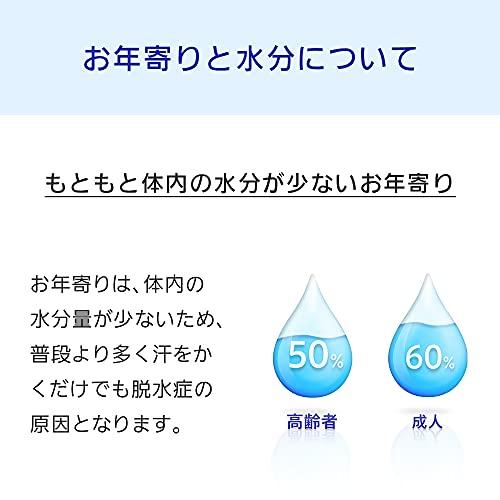 大塚製薬工場 経口補水液 オーエスワン 500mlx24本｜grandioso｜08