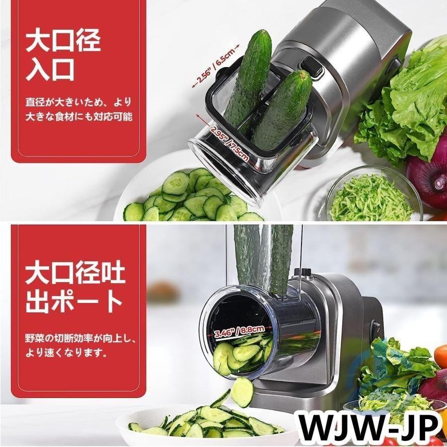 電動 野菜 スライサー サラダ ライ メーカー セット サー ステンレス
