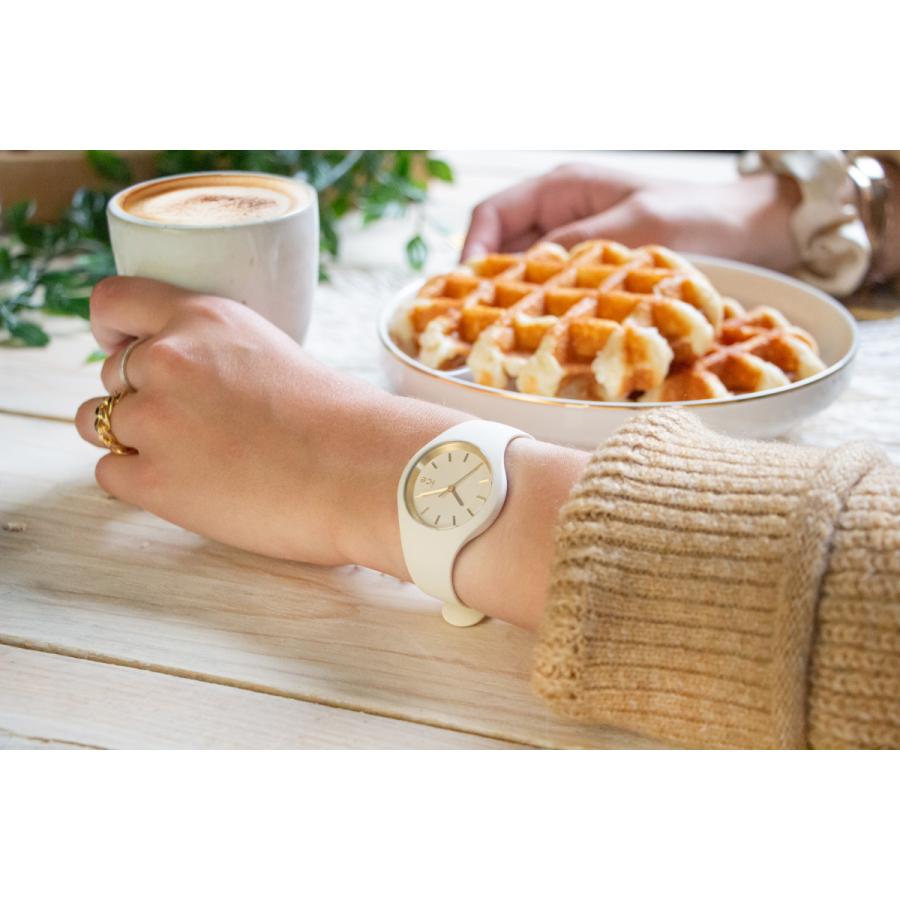 アイスウォッチ ICE-WATCH 腕時計 レディース アイスグラムブラッシュド アーモンドスキン 019528の画像