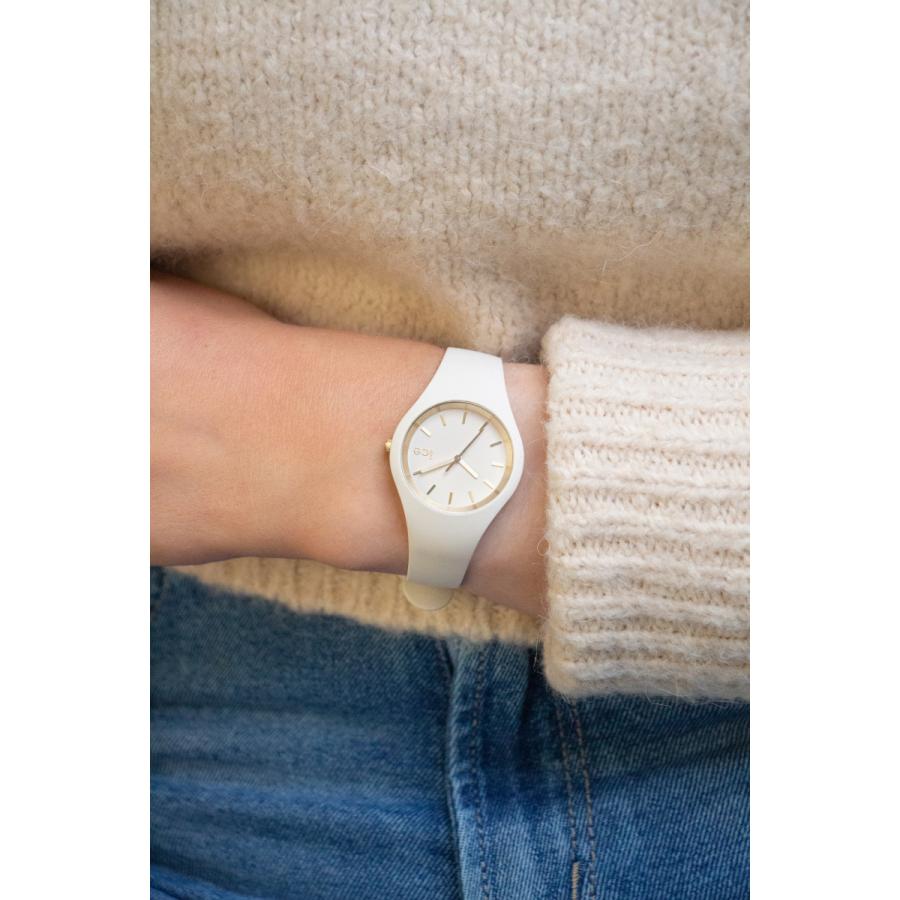 アイスウォッチ ICE-WATCH 腕時計 レディース アイスグラムブラッシュド アーモンドスキン 019528の画像