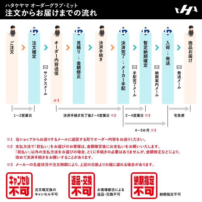 ハタケヤマ（HATAKEYAMA） ＜受注生産＞ 硬式用キャッチャーミット