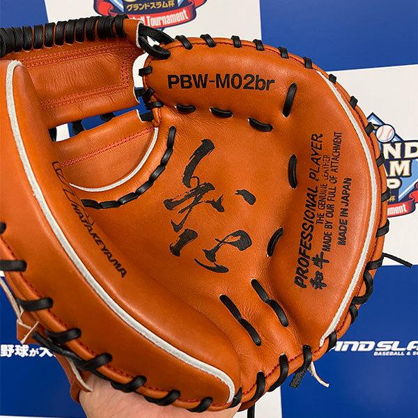 新品 ハタケヤマ PBW-M02br | www.tspea.org