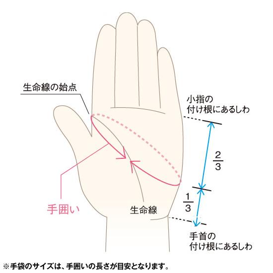 【即日発送可】＜メール便対応＞ミズノ（MIZUNO） 1EJET130 走塁用手袋 両手用 ミズノプロ フリーサイズ 単独水洗い可 GSオリジナル MizunoPro MP GS10 野球の画像