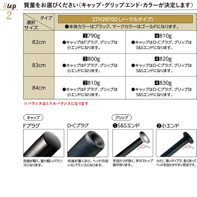 MIZUNO（ミズノ） ＜受注生産＞ 2TH29700 中学硬式用金属製オーダー