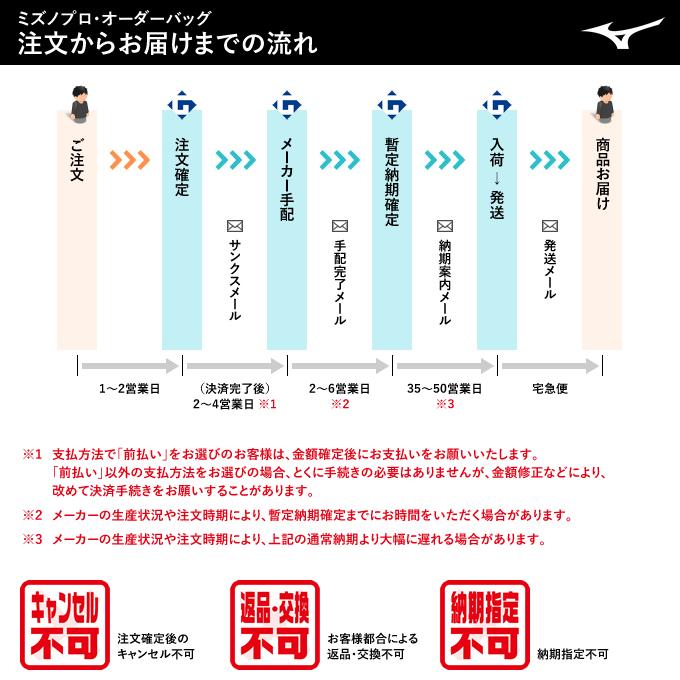 ＜受注生産＞ミズノ（MIZUNO） 1FJBBS1202 ミズノプロ・オーダー ボールケース兼グラブケース エナメル 約28リットル オーダーバッグ 野球の画像