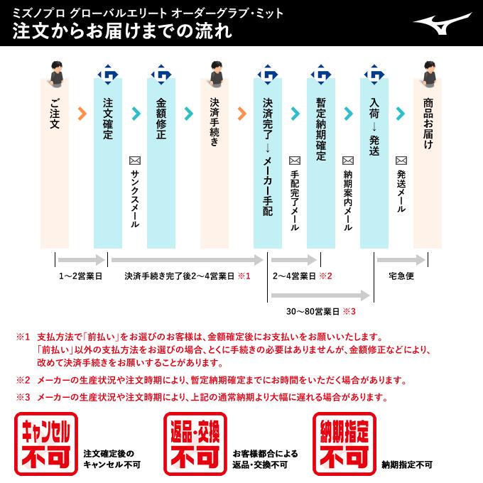 ＜受注生産＞ミズノ（MIZUNO） 革ソフトボール用オーダーグラブ ミズノプロ・オーダー 1AJGS63250 1AJGS63350 BSS MizunoPro オーダーシミュレーション グローブ | MIZUNO | 01