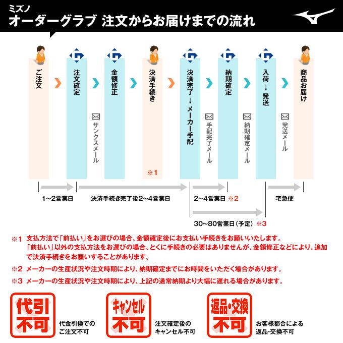 オーダー シュミレーション ミズノプロ