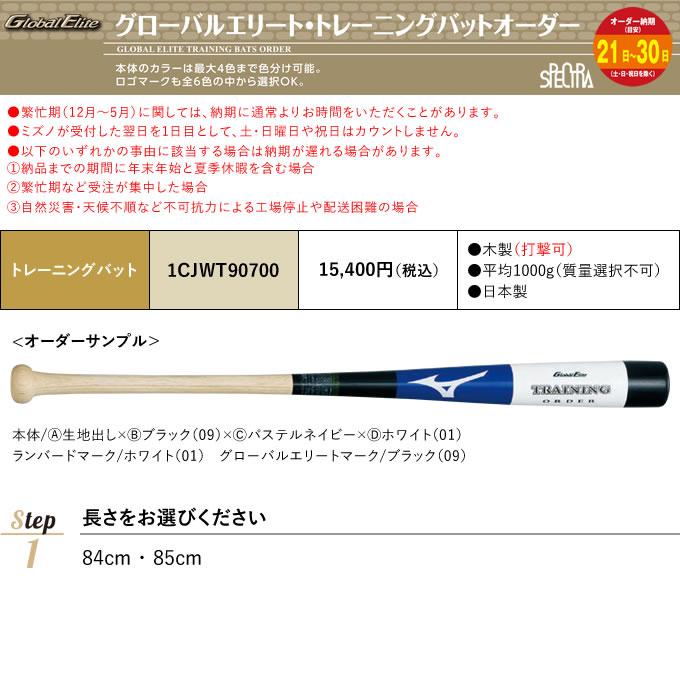 MIZUNO（ミズノ） ＜受注生産＞ 1CJWT90700 グローバルエリート