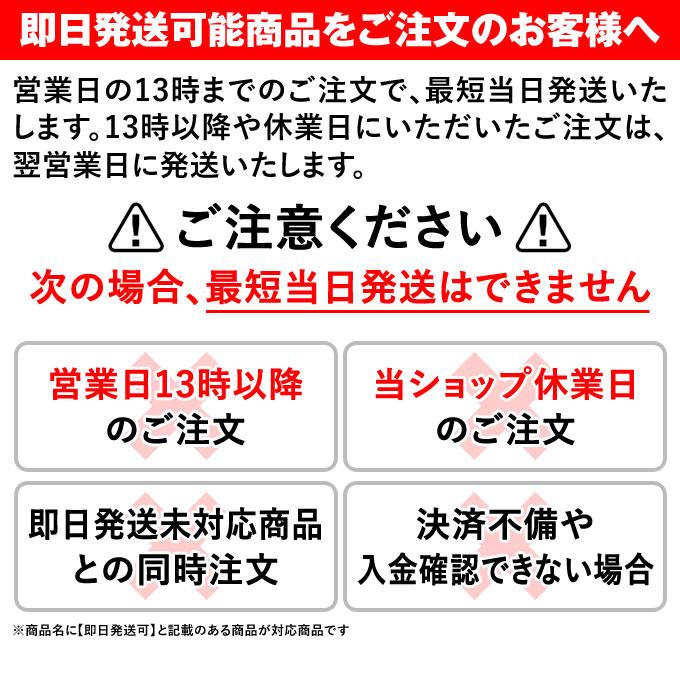 MIZUNO 【即日発送可】ミズノ（MIZUNO） 1AJRGA0200 軟式用