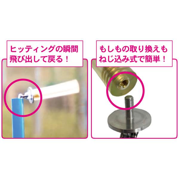即日発送可】SAKUGOE SOFT サクゴエソフト PUT式 強打者を育てる