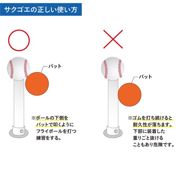 【あすつく対応】SAKUGOE サクゴエ PUT式 強打者を育てるバッティングティー 置きティースタンド 硬式 軟式 高さ調整可能 組み立て式 打撃練習 ver.12 野球｜grandslam｜05