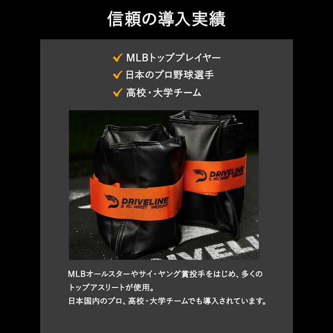 レザーリストウェイト 2.5kg 2個セット ドライブラインベースボール