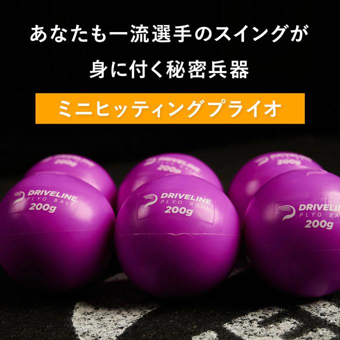 即日発送可】ミニヒッティングプライオ 6個セット ドライブライン
