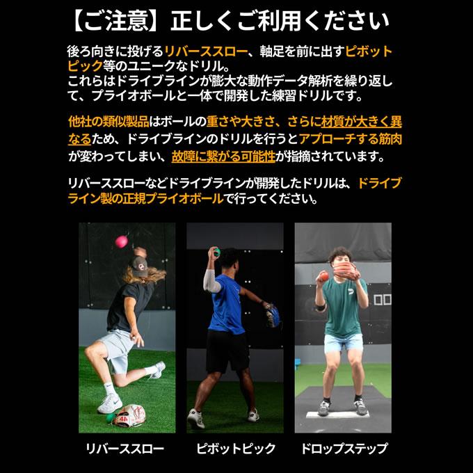 即日発送可】プライオボール 5個セット ドライブラインベースボール