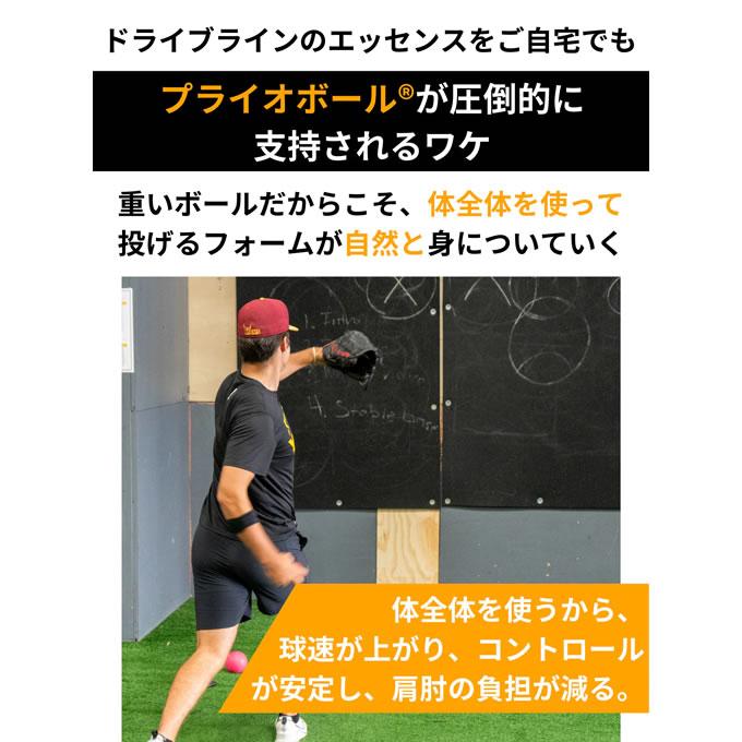 即日発送可】プライオボール 6個セット ドライブラインベースボール