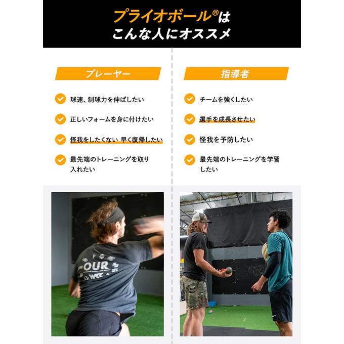即日発送可】プライオボール 6個セット ドライブラインベースボール