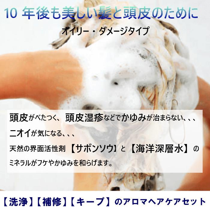 お試し 送料無料 オイリー ノーマライズシャンプー 35ml コンディショナー 35ml セット グレンジ Hcset002s グレンジ ジャパン 通販 Yahoo ショッピング