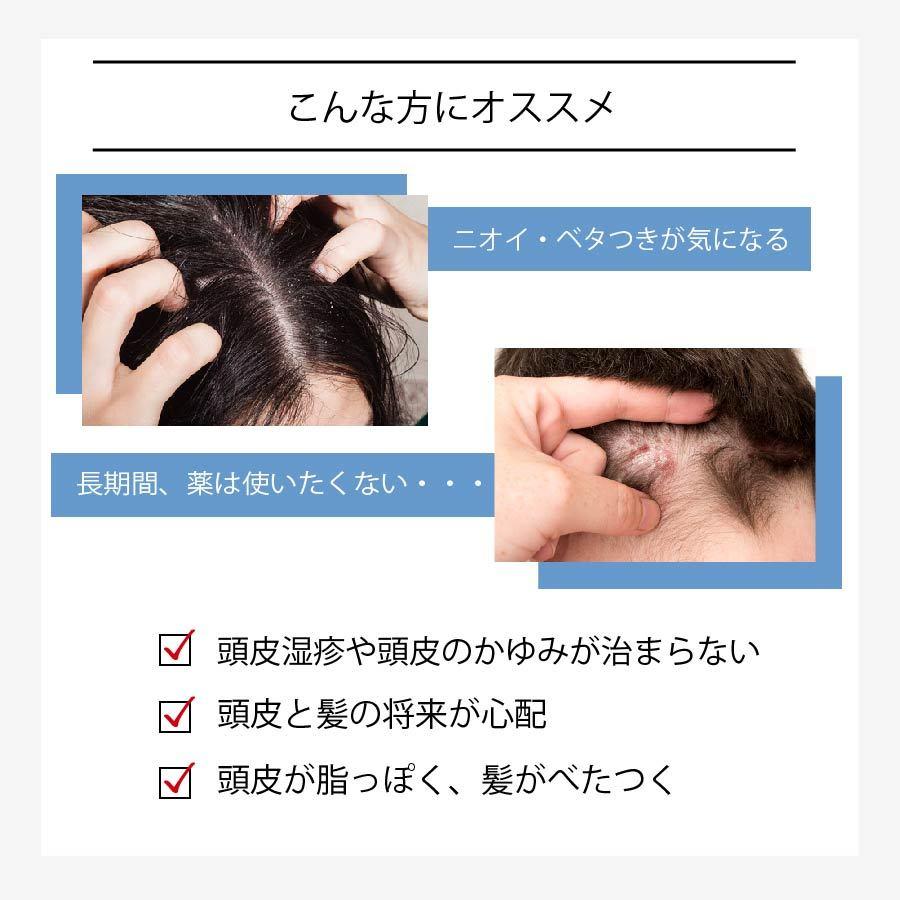 数量限定 特売 オイリー ノーマライズシャンプー 250mlとコンディショナー250mlのセット グレンジ 在庫あり 即納 Www Muslimaidusa Org