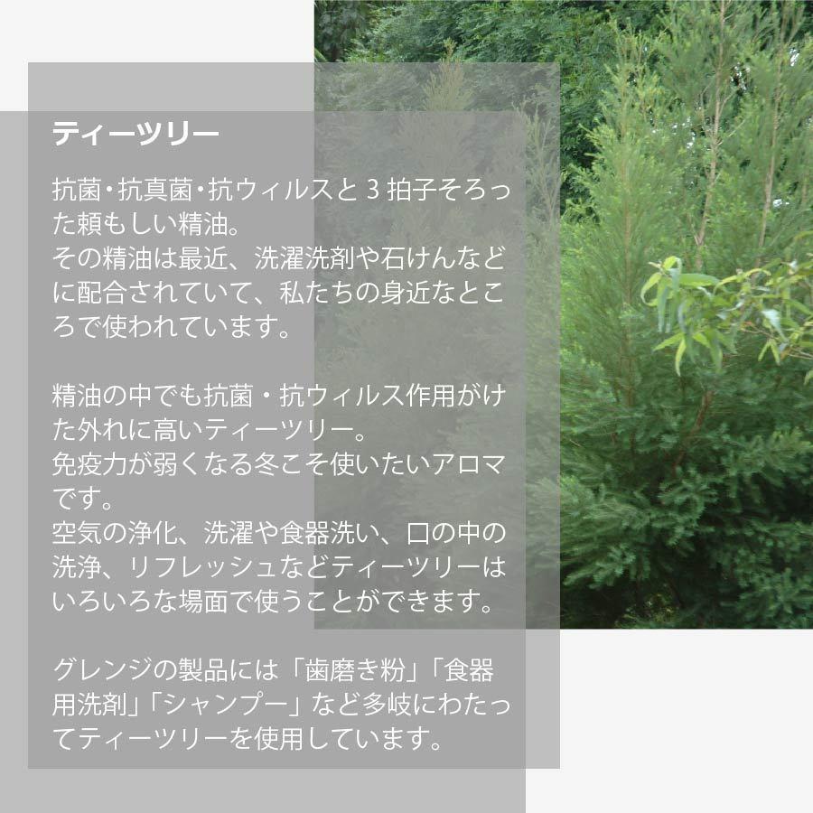 頭皮 臭い 石鹸