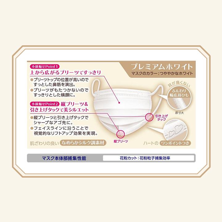 ビースタイル マスク 不織布 50枚 プリーツタイプ ふつうサイズ 5枚入
