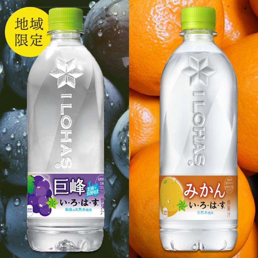 子ども 遠足 部活 コカコーラ ボトル 3本 子ども 遠足 部活 コカコーラ ボトル 3本 Amazon.co.jp