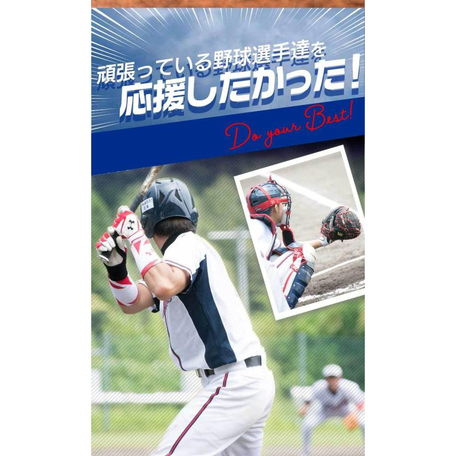 53 Off 野球部専用プロテイン スポドリレモン風味 1kg 3袋セット 150食 ジュニアプロテイン 80 Cisama Sc Gov Br