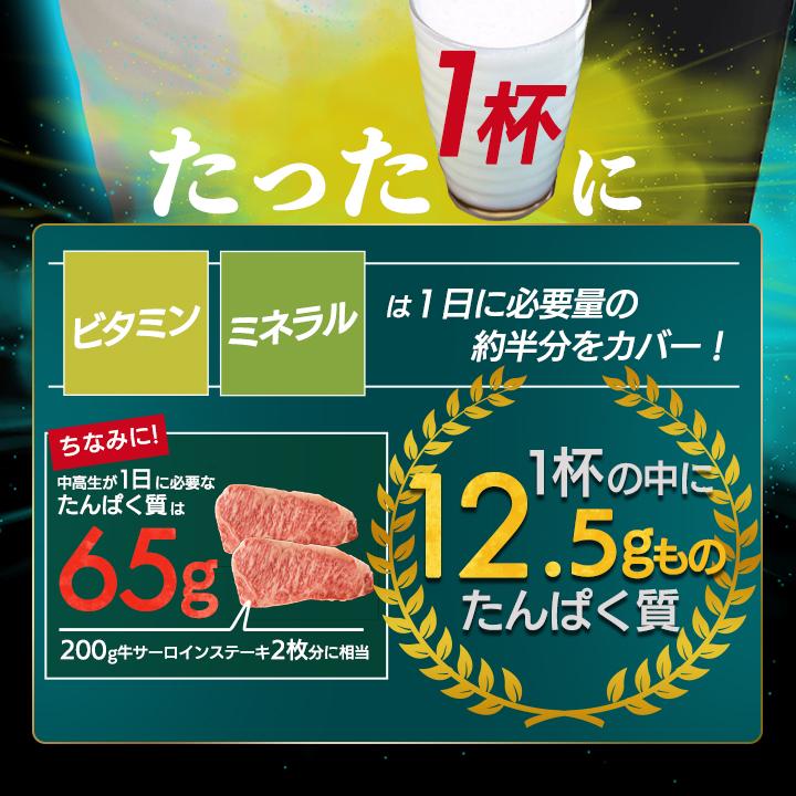 プロテイン 1kg 5袋 ホエイ レモン 野球部専用 スポドリレモン味 50食分 部活 中学生 高校生 野球部 運動 スポーツ ジュニアプロテイン 筋トレ トレーニング｜granire｜10